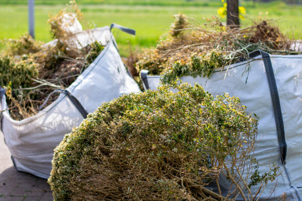 Best Household Junk Removal  in Bement, IL